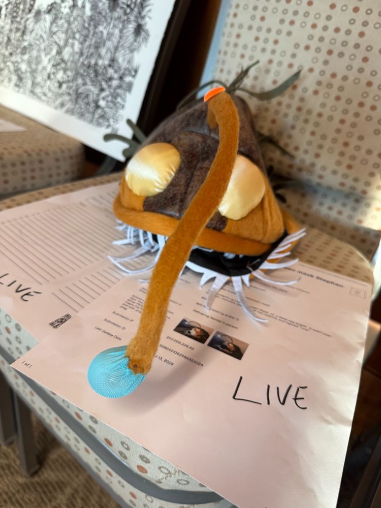 A photo of a novelty hat in the shape of an anglerfish rests on a spotted beige chair. Below the hat are two forms indicating its origins, and is marked for the live auction. The blue bulb at the tip of the anglerfish lights up.