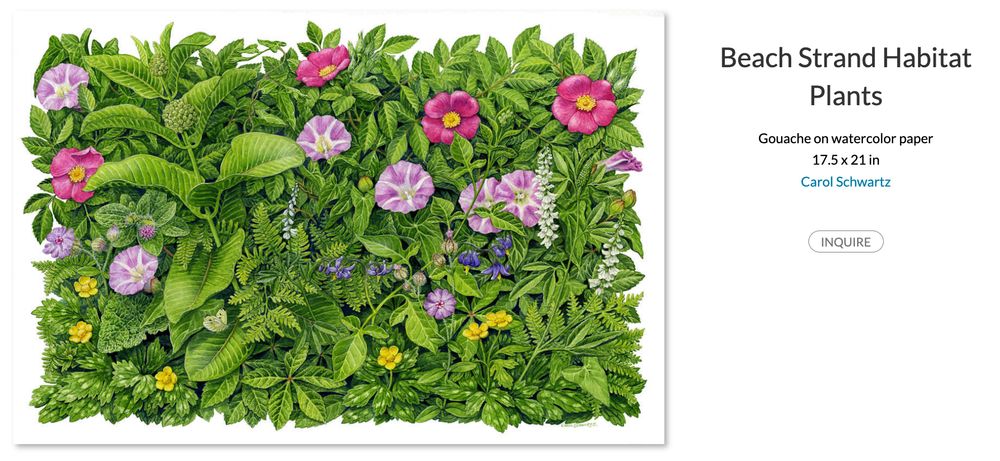 A very densely illustrated paper full of different flowering plants and green leaves. There are numerous species and it is intricately detailed.