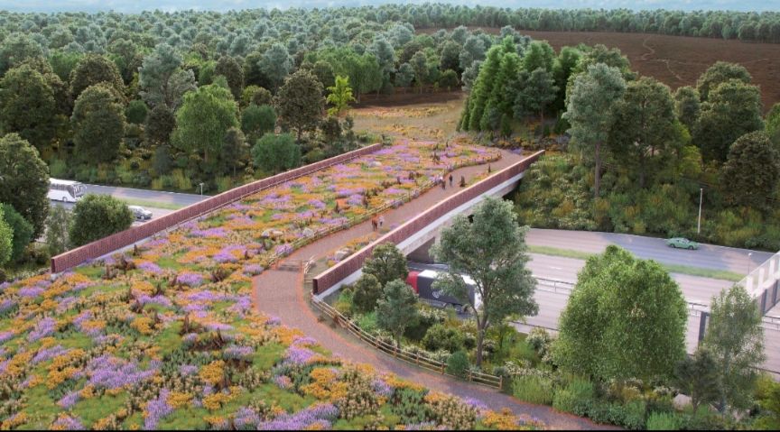 Wildlife bridge across motorway 