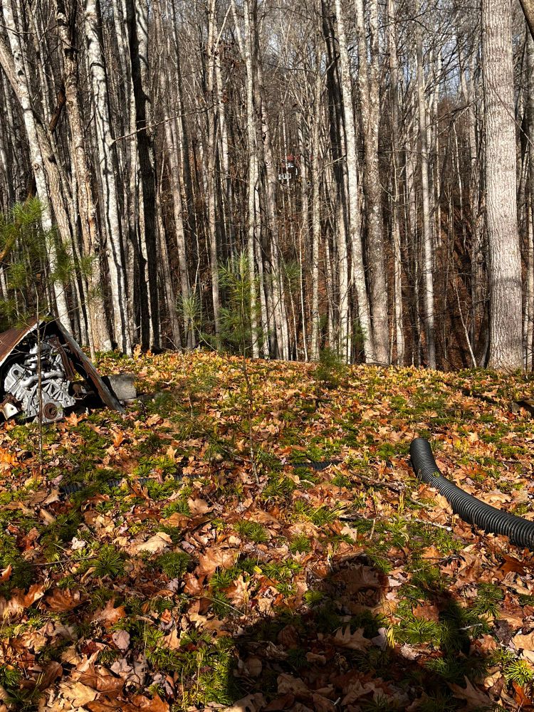 shadow of a person throwing a peace sign in a mossy leafy hilly forest. there's a car engine tented under a piece of rusted corrugated steel. tiny glimpse of an 1800s farmhouse across the ridge 