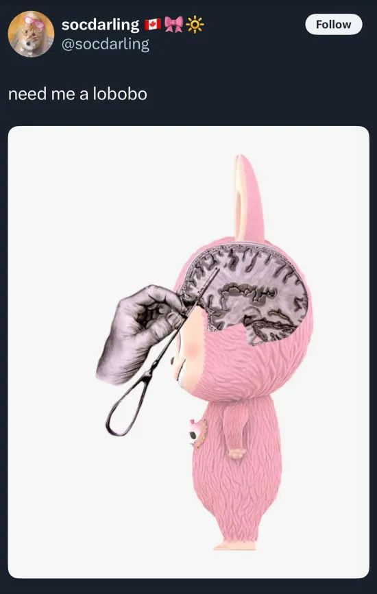 socdarling tweets:

need me a labobo

included is a photo of a pink labubu standing in profile, with a photoshopped illustration of a hand shoving a big needle through the labubu's prefrontal cortex 