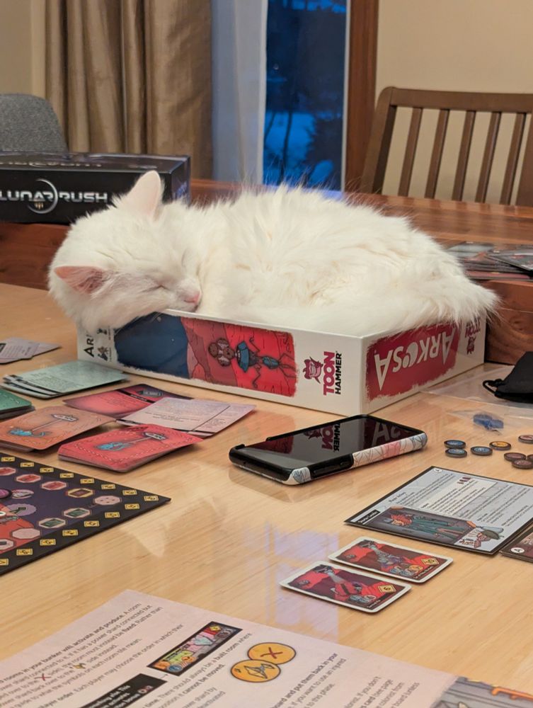 a fluffy white cat curled up asleep in the upturned top of a board game box on a table where the board game is being played