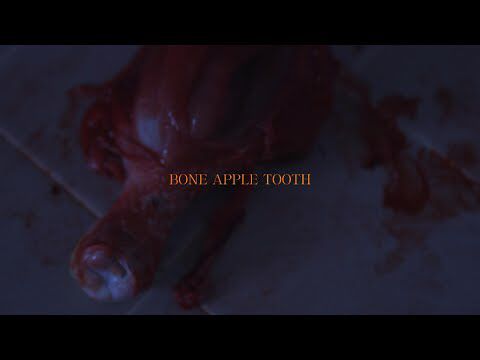 BONE APPLE TOOTH