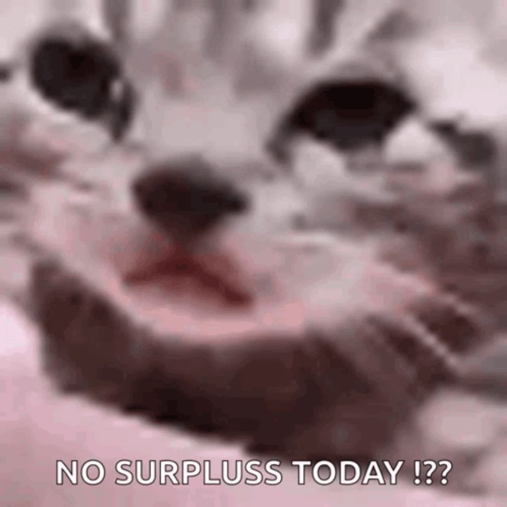 a close up of a cat 's face with the words `` no surplus today ? '' written on it .