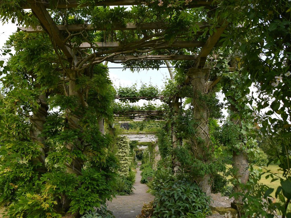 Pergola bzw. Laubengang aus runden, eine Holzkonstruktion tragenden Steinsäulen. An den Steinsäulen winden sich verschiedene, bereits verholzte Kletterpflanzen empor und bilden ein 'grünes Dach'. Der Weg dazwischen führt als Blickachse weit nach hinten.