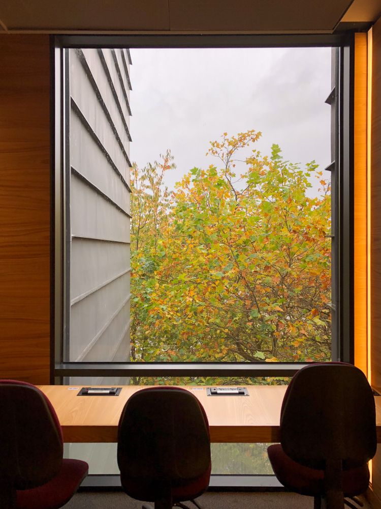 View from Library window