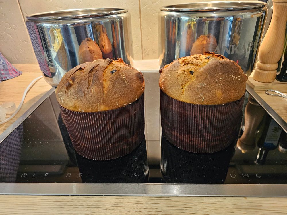 2 fertig gebackene Panettone auf dem Kochfeld. Dahinter 2 Metallschüsseln, in die sie gleich kopfüber eingehängt werden.