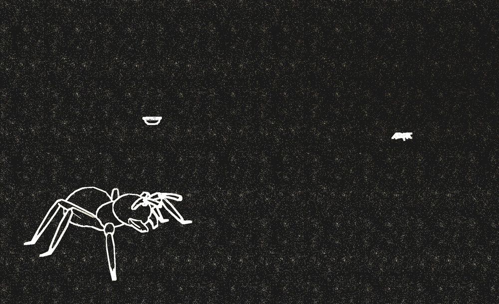A white linocut of an ant on a black background