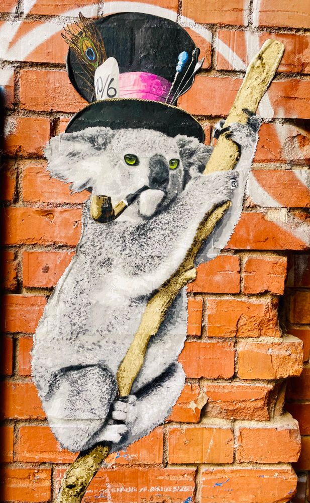 Paste-up vor einer Ziegelwand. 
Das Motiv bildet einen Pfeife rauchenden Koala mit grünen Augen ab, der an einem Ast klammert.
Der Koala trägt einen Zylinder, an dem eine Pfauenfeder und Pfeile klemmen, außerdem auf weißem Untergrund einige Ziffern. 
Um den Hut verläuft ein pinkes Band.
