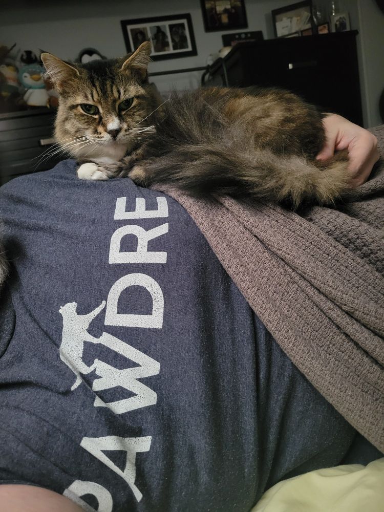Our cat Nakia laying on Charlie while on his side. His shirt says Pawdre.