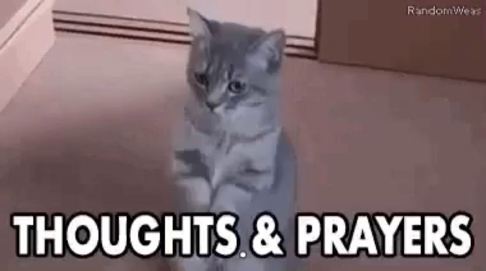 a cat is sitting on the floor with the words `` thoughts and prayers '' written next to it .