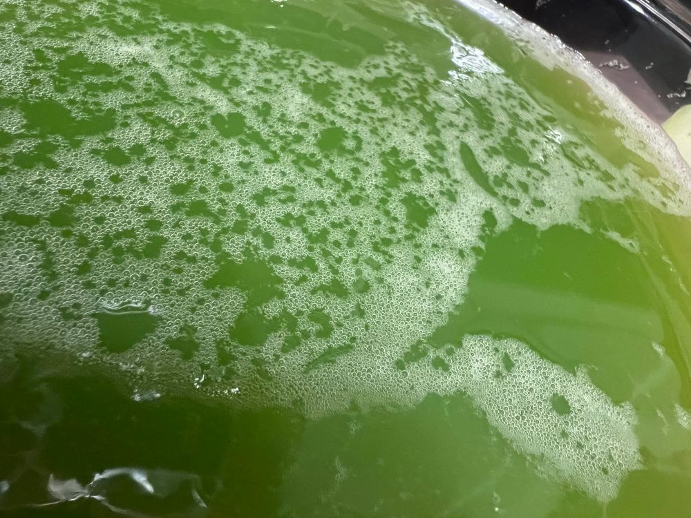 Zucchini juice freshly squeezed