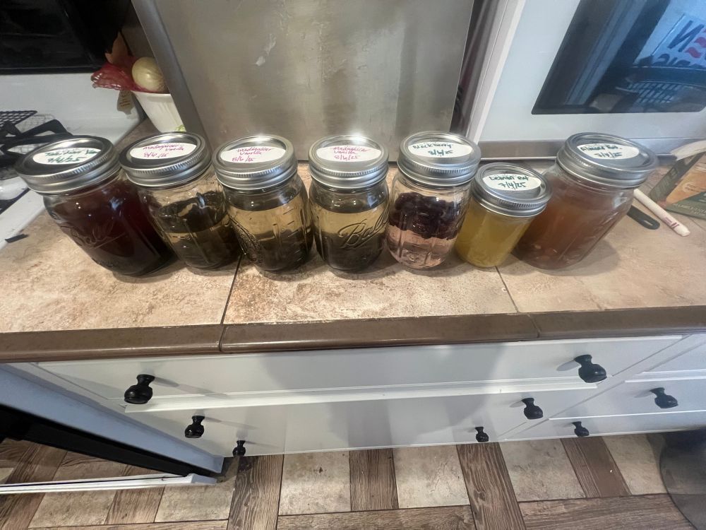 Mason jars with various extracts on a counter