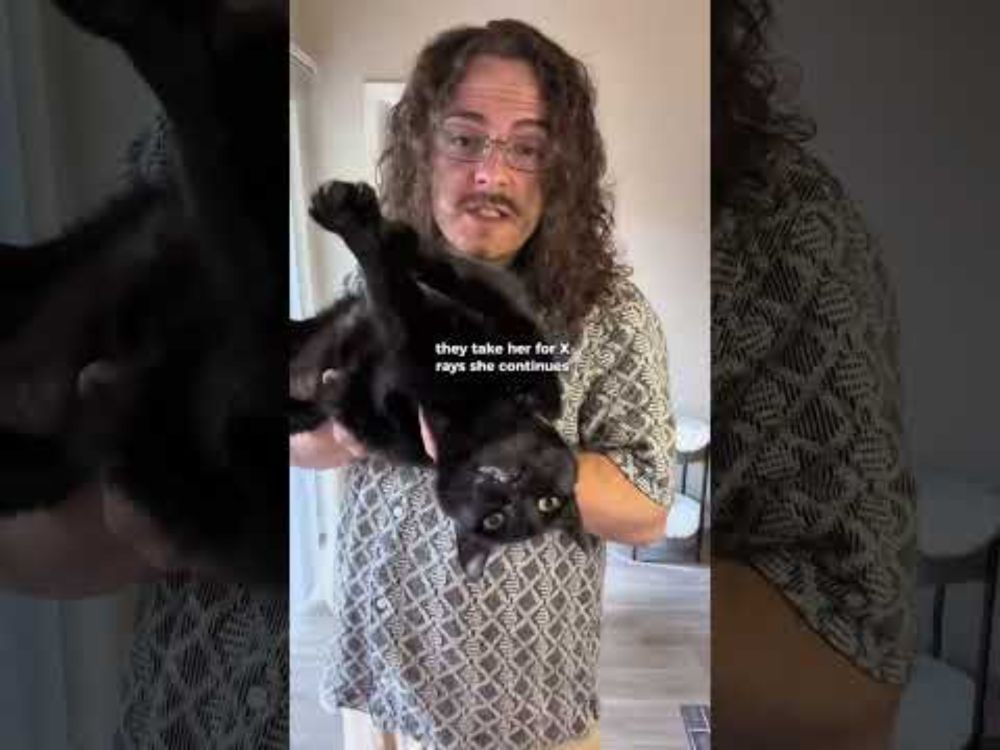 My cat got a mental health diagnosis