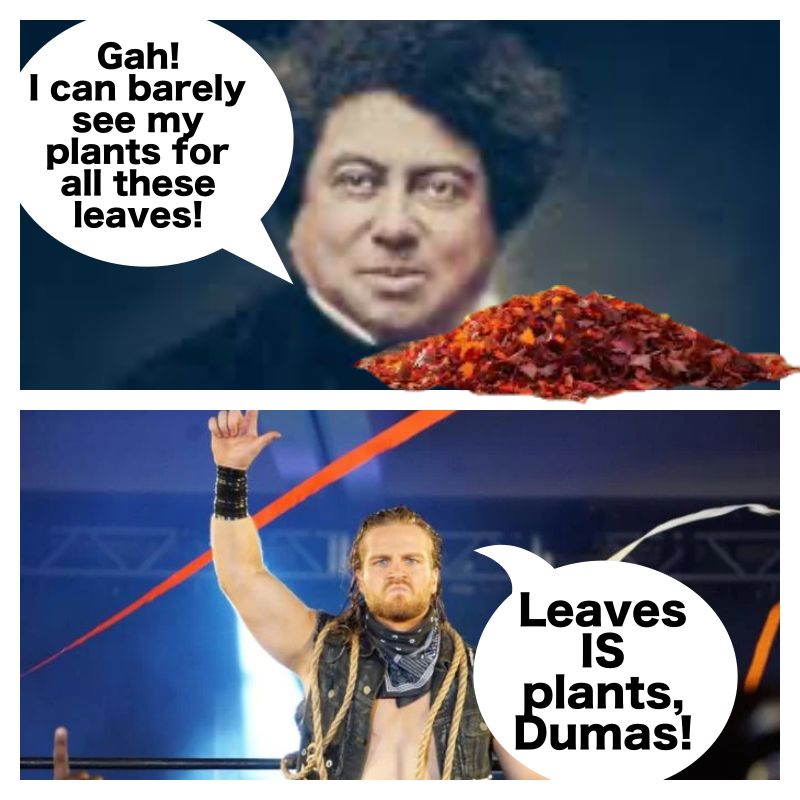 French novelist, Alexandre Dumas, views a pile of leaves and complains that they are obscuring his view of his plants. Pro-wrestler, Hangman Adam Page replies that “leaves IS plants, Dumas!”.