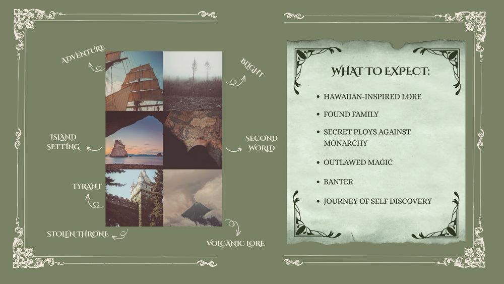 This is the last image in my guide, and it showcases the aesthetic and a few elements that can be found in the book. 

A few of these elements are: found family, secret ploys, outlawed magic, and self discovery. 