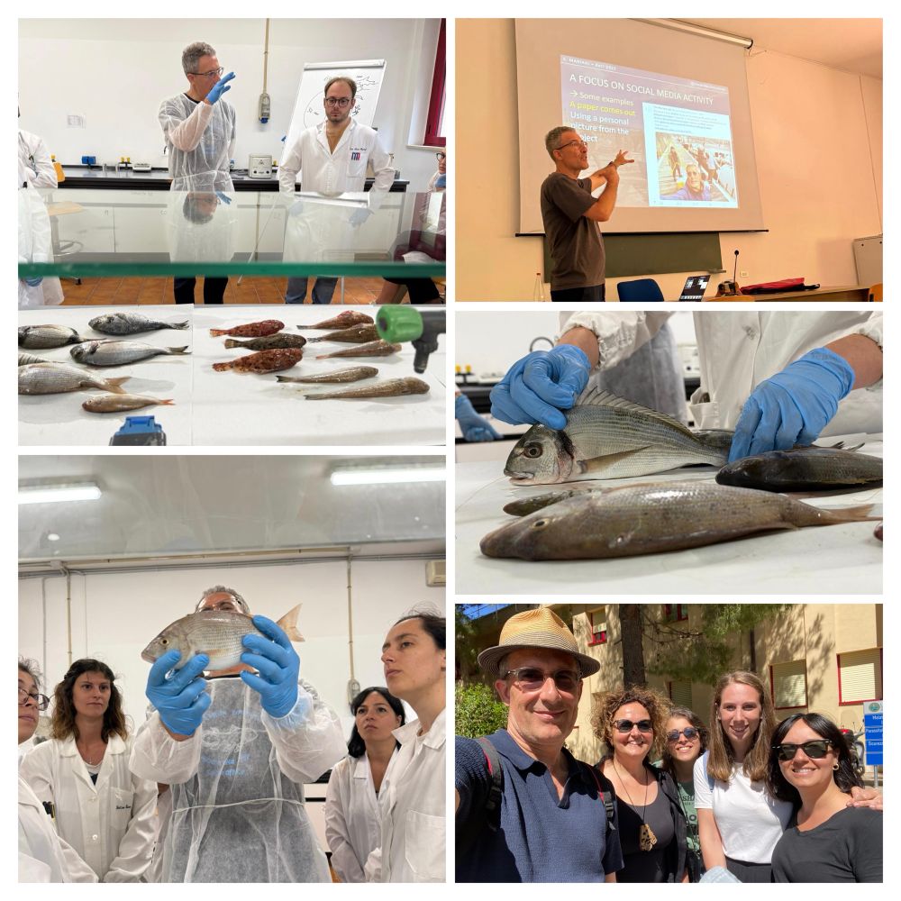Examples of laboratory and seminar activities at the Department of Veterinary Medicine of the University of Bari “Aldo Moro”