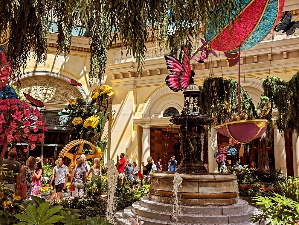 Inside the Bellagio Conservatory