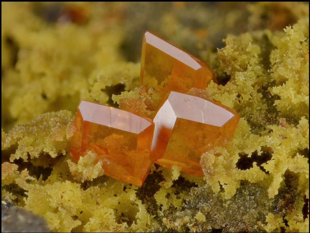 A sample of Wulfenite, which looks like little peach-colored Jolly Ranchers sitting on a groundmass of Mimetite, which looks like little clumps of yellow cornbread stuffing.