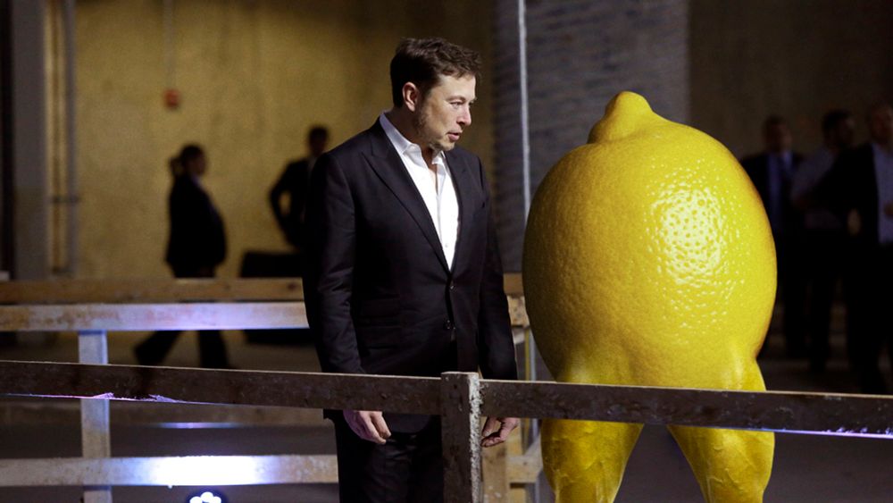 A Brilliant Innovator: Elon Musk Has Announced He Is Currently Developing A Lemon With Legs That Can Sprint To Hungry People All Over The World