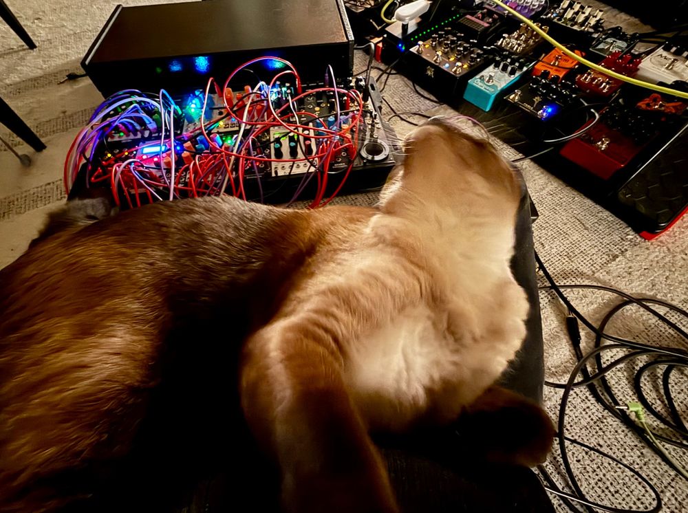 A siamese cat, modular synthesizer, and a selection of guitar pedals on the floor.