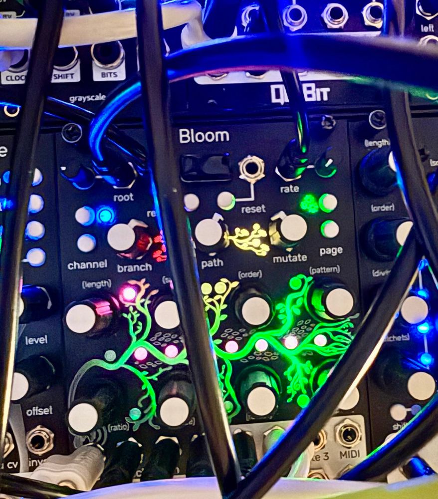 A patched Qu-bit Electronix Bloom v2 eurorack module.