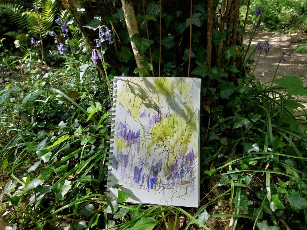 Colour sketch of bluebell woods leant against a treestump in dappled light