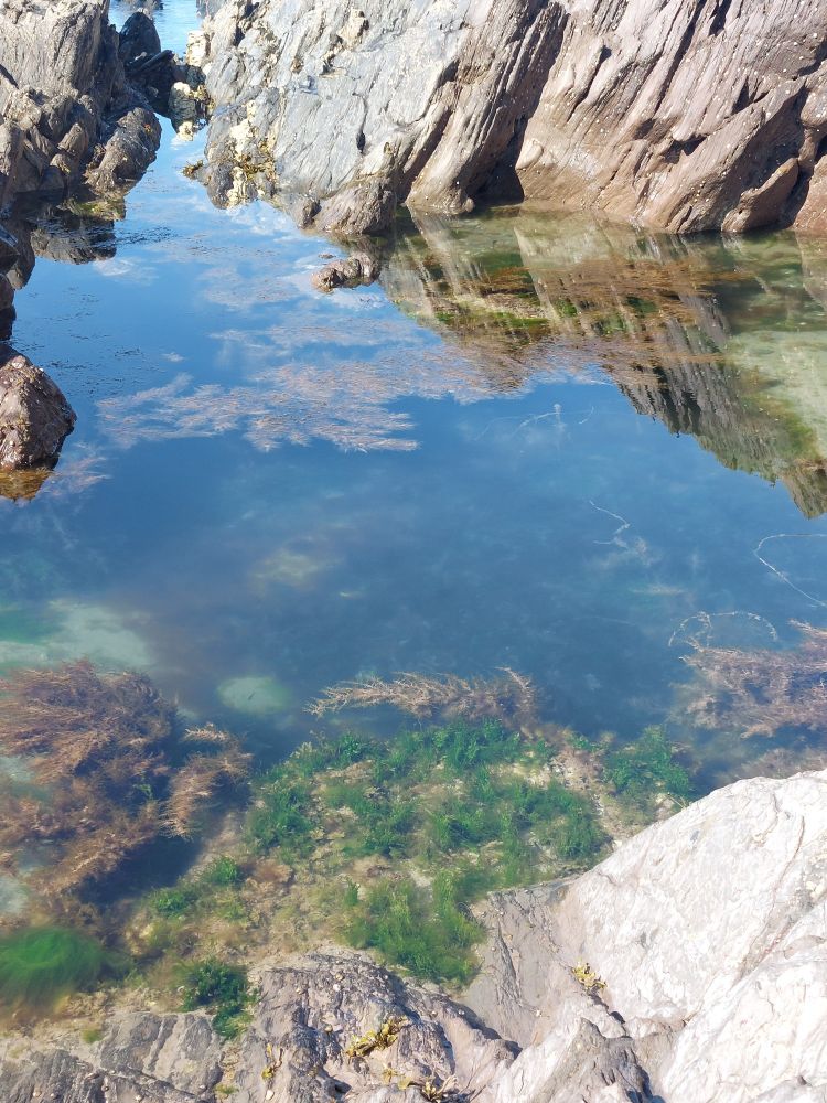 Rocks and rockpool 