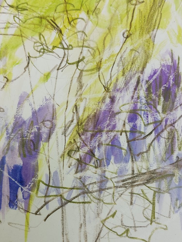 Close-up of coloured sketch of bluebells 