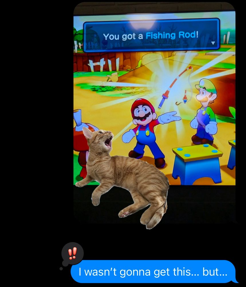 Picture of Mario holding up a fishing rod in Brothership, with a sticker of our orange cat slapped on top of it staring in awe at the fishing rod.