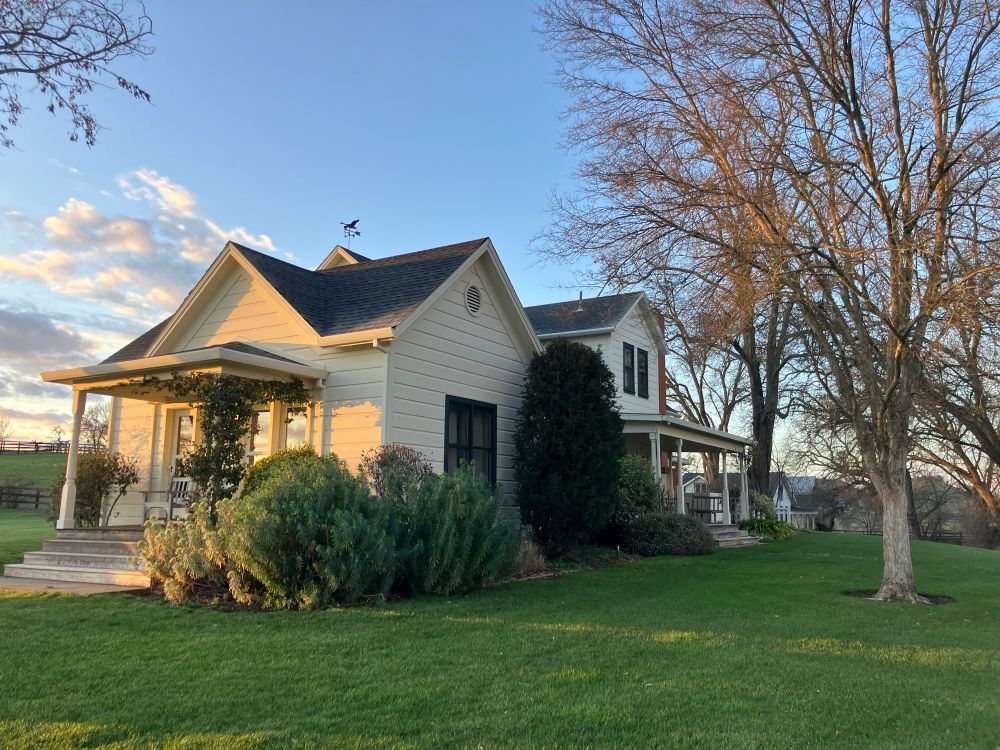 An old cream-colored farmhouse sits in the middle of a lawn with some oak trees nearby during golden hour. 