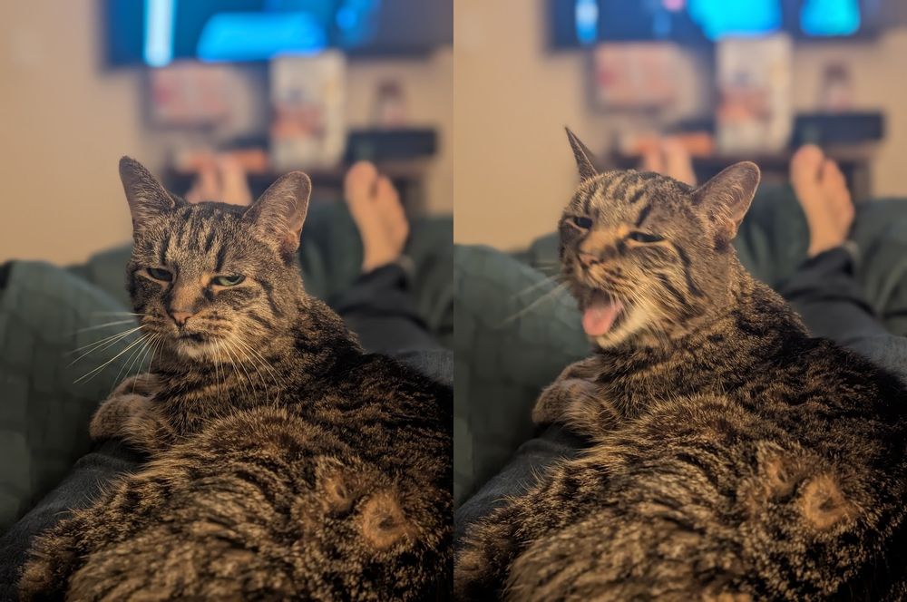 Cat looking angry in panel one. Cat vomiting in panel 2.