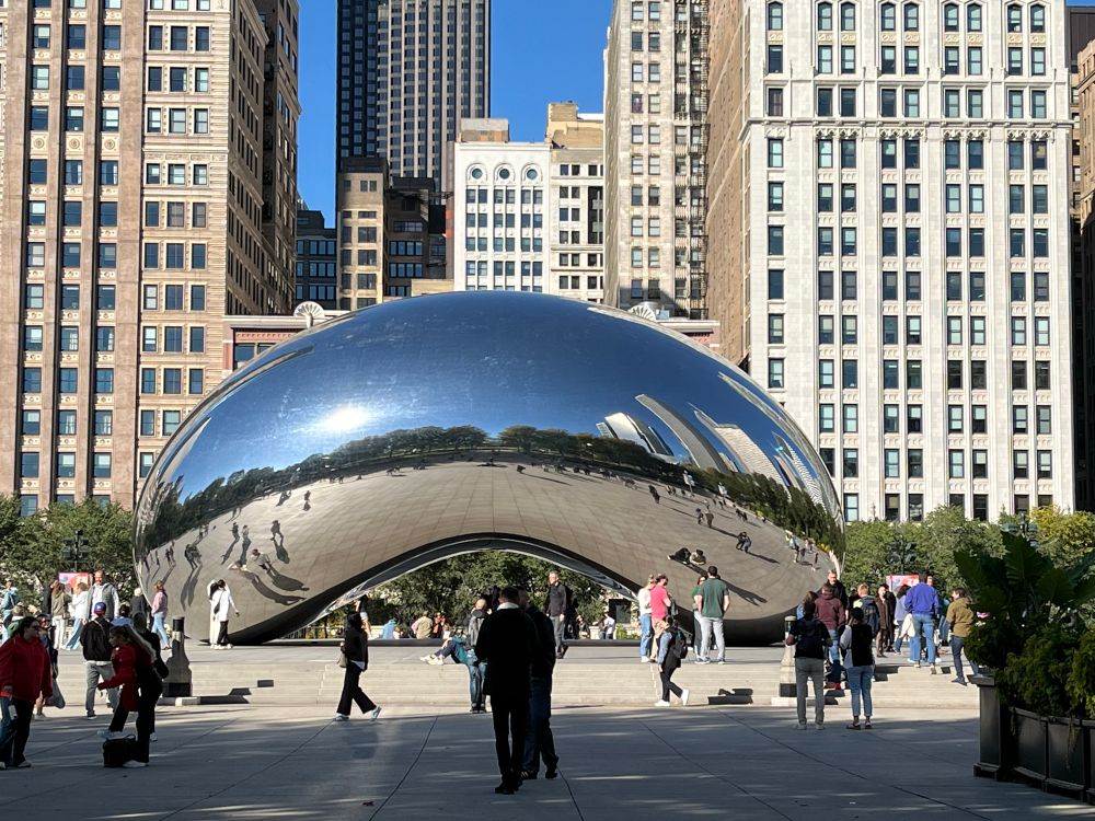 The bean