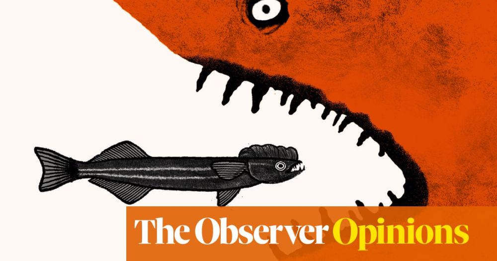 It’s mating season on X, as Musk courts Trump | Stewart Lee