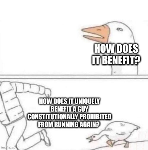 Goose chasing meme:
How does it uniquely benefit a guy constitutionally prohibited from running again? 