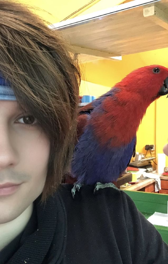 Chillin’ with this gorgeous red & blue parrot on my shoulder 🦜✨ 