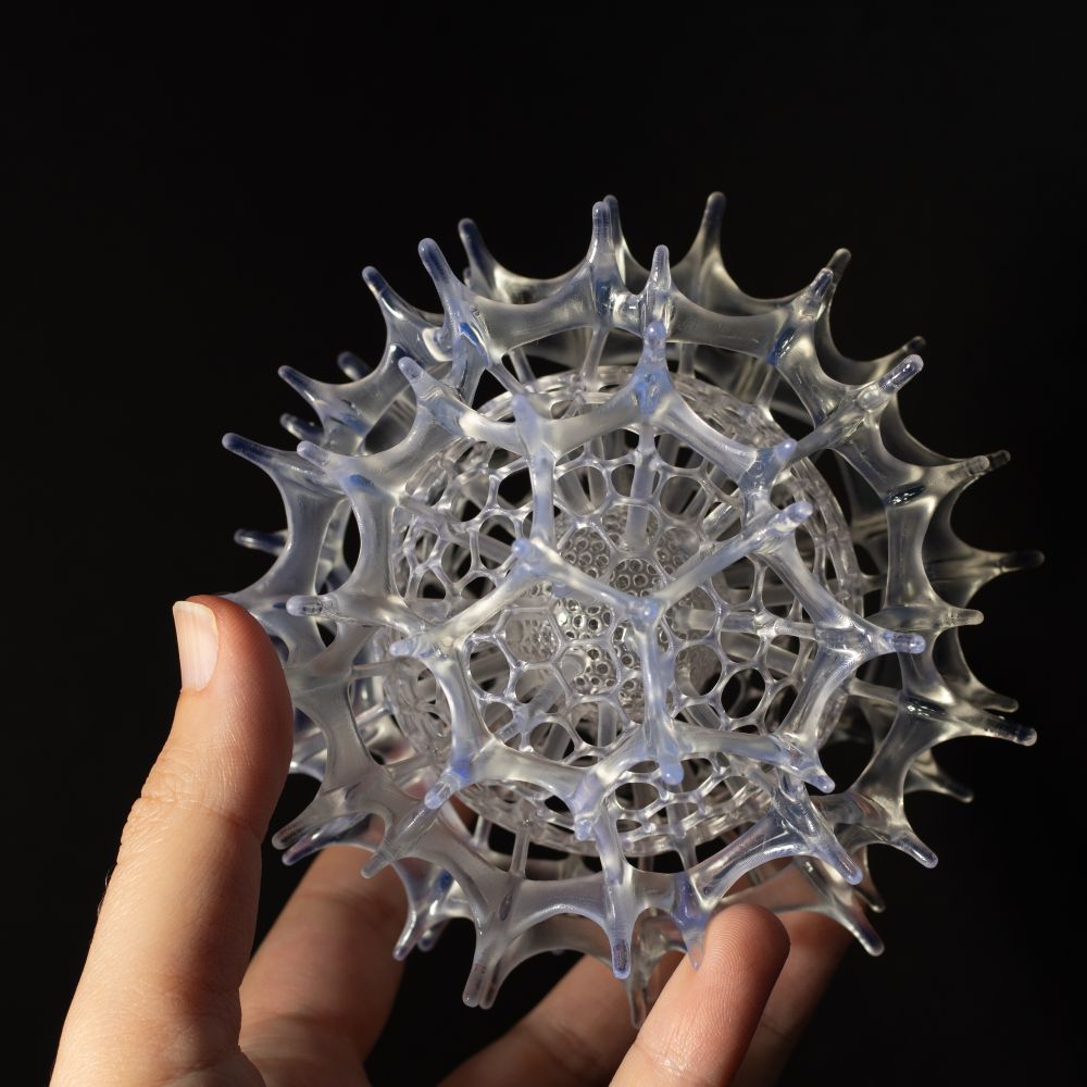 Radiolarian sculpture - Hexacontium