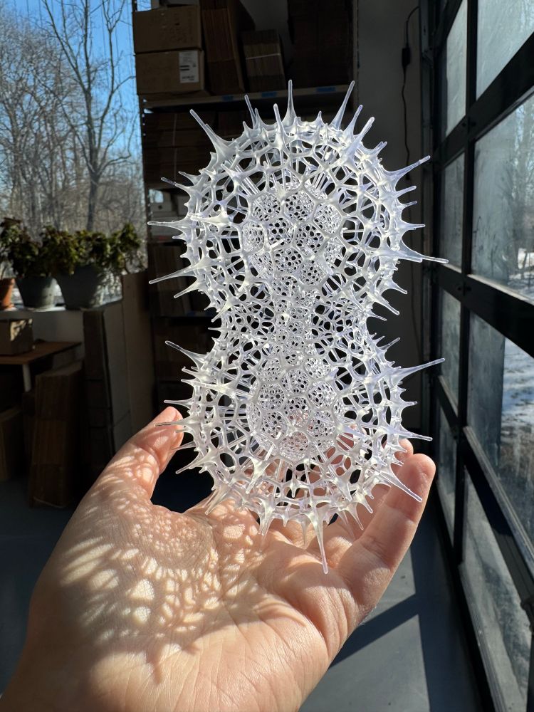 Hand holding a spiky, clear, cellular model of a radiolarian with two spherical lobes and two concentric layers. Shadows from the complex skeleton blanket my hand