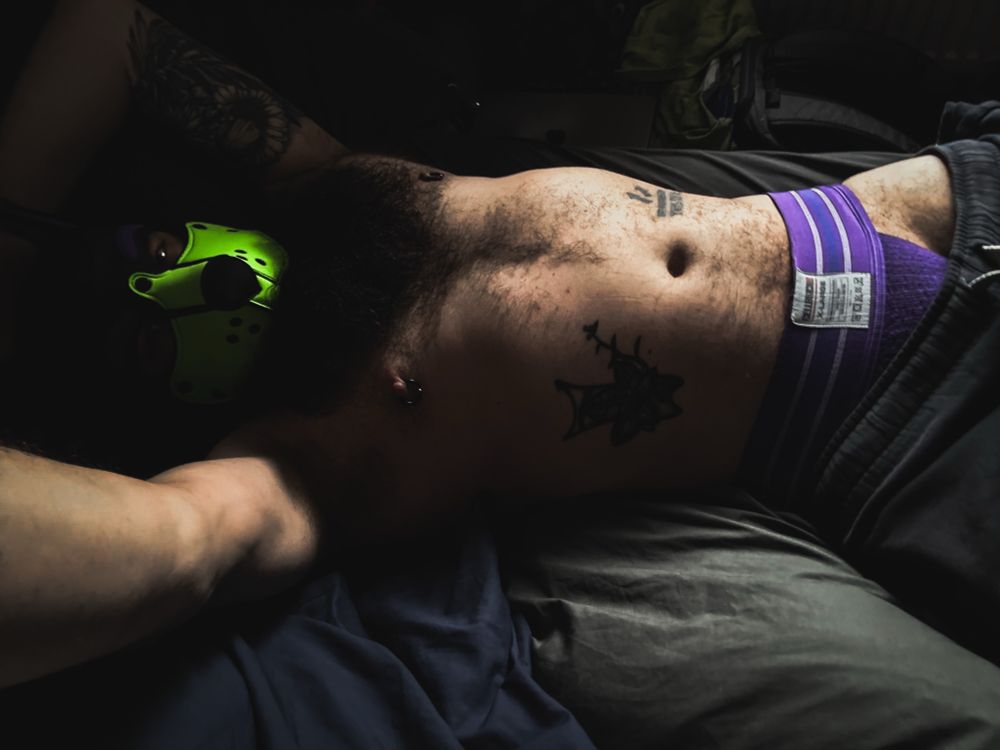 A green and purple pup wearing a purple jock under a partially lowered pair of trackies, stretched out shirtless in bed with moody morning lighting. He smells good too. 