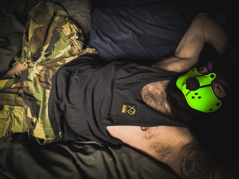 A slutty green and purple pup lying down wearing an oversized black vest and camo cargos