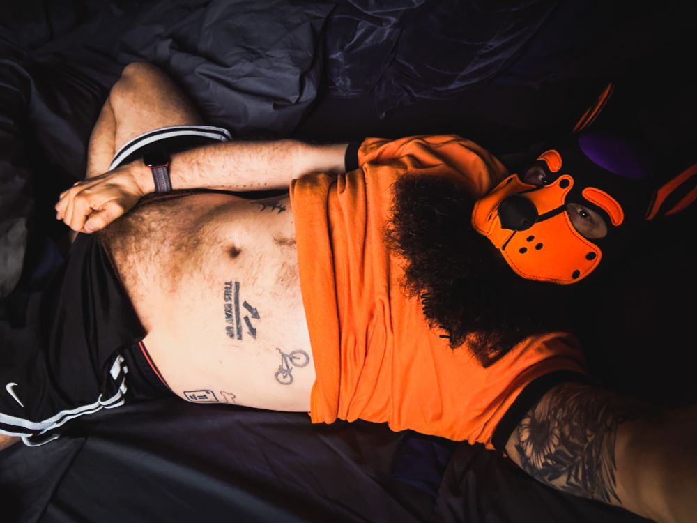 A naughty orange and purple pup wearing an orange ringer tee covering his junk 