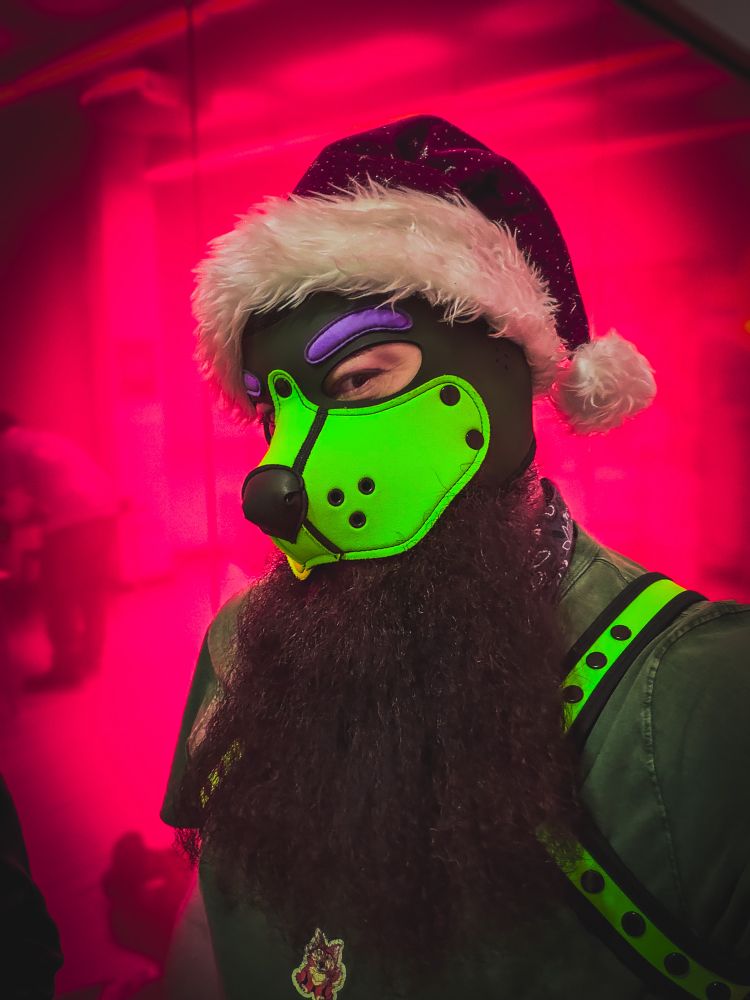 A green and purple pup in a Santa hat against a translucent red background 