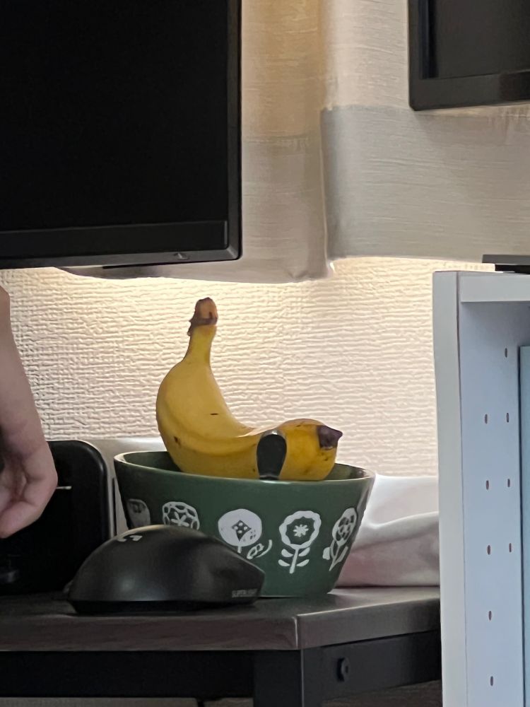 a banana sitting in a too-small bowl