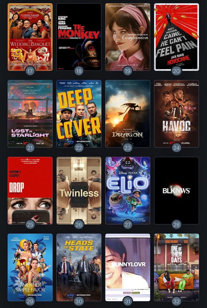 17.) The Wedding Banquet
18.) The Monkey
19.) Companion
20.) Novocaine
21.) Lost in Starlight
22.) Deep Cover
23.) How to Train Your Dragon
24.) Havoc
25.) Drop
26.) Twinless
27.) Elio
28.) BLKNWS
29.) Another Simple Favor
30.) Heads of State
31.) Bunnylovr
32.) One of Them Days 