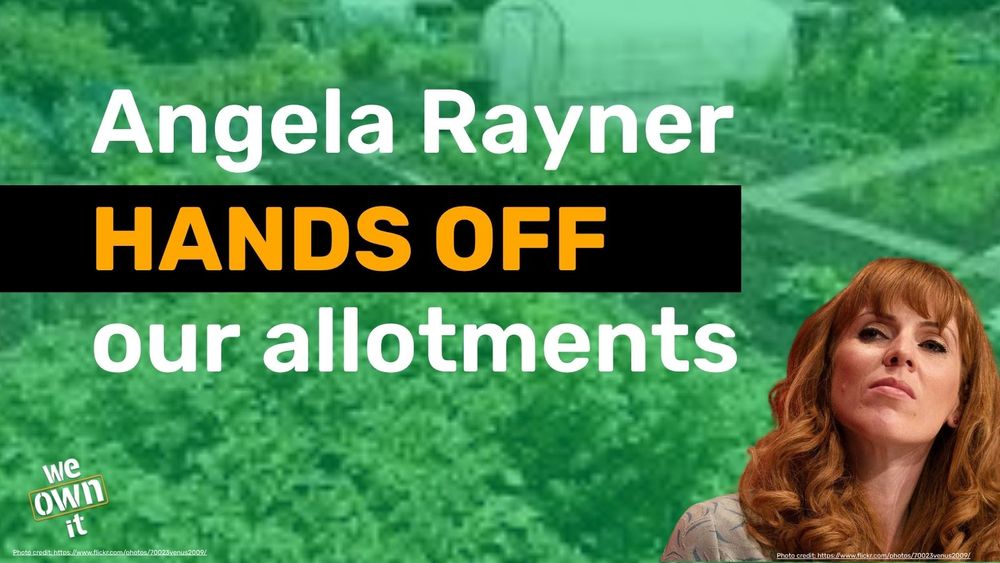 Picture of Angela Rayner superimposed over a green colour washed image of an allotment. With a small 'We Own It' logo in the bottom left corner. The main text reads: Angela Rayner hands off our allotments