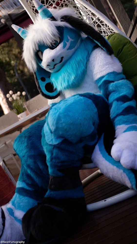 A shark fursuiter, sitting in a hanging chair, facing the camera at a low angle. This shark is very gay.