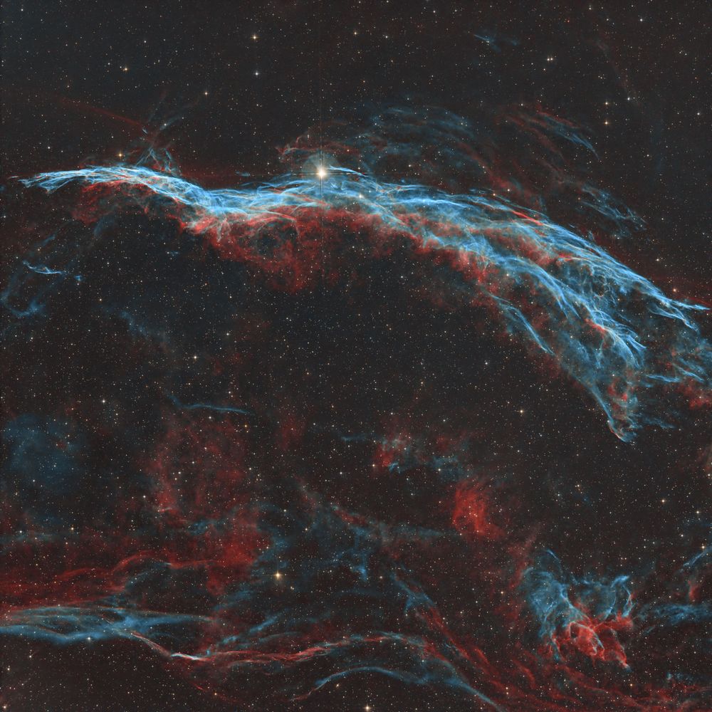 Astrophotography image of The Western Veil Nebula