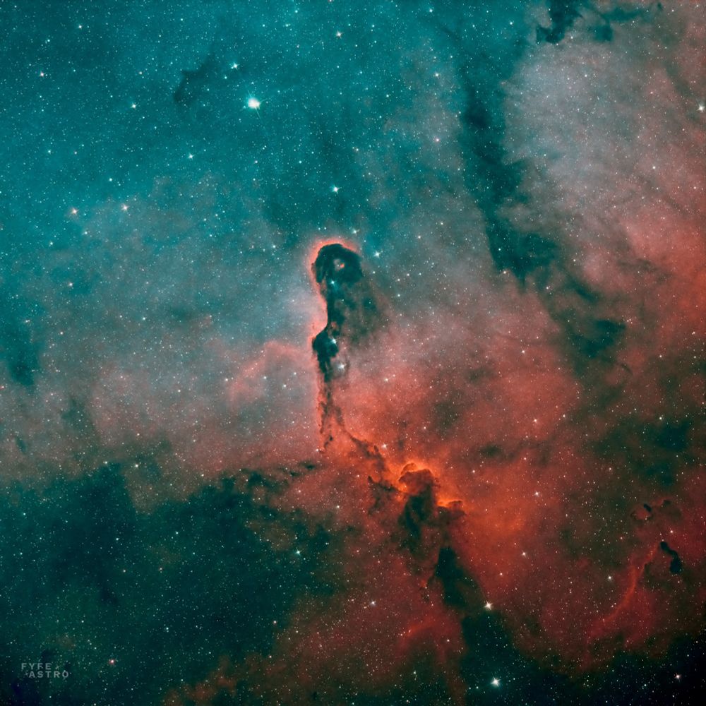 The elephant trunk nebula in the constellation Cepheus in narrow band.