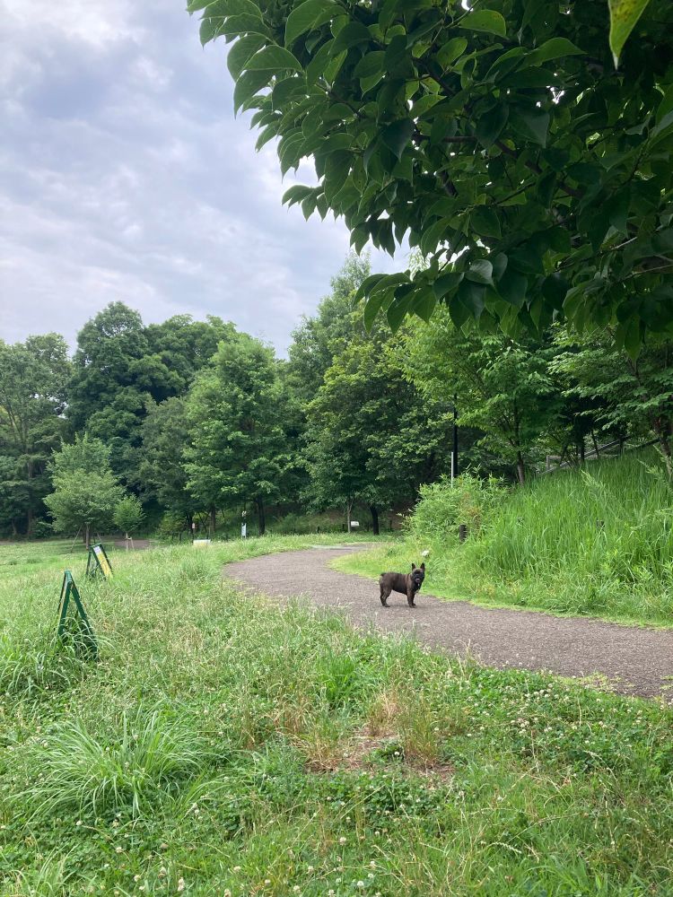 Gabriela sometimes enjoys being alone in the park.