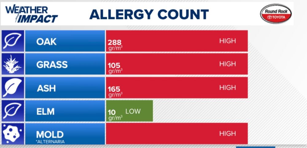 Allergy chart with all pollen counts at high